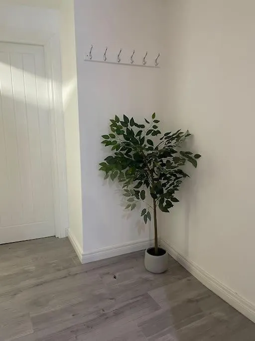 Modern 1-Bed Apartment 벨파스트
